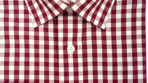 Gingham Shirt