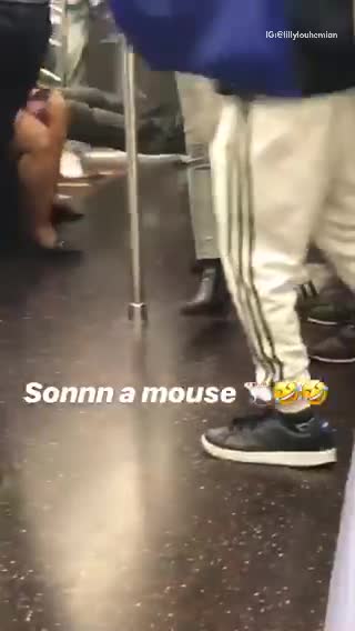 A mouse runs around subway car people scream