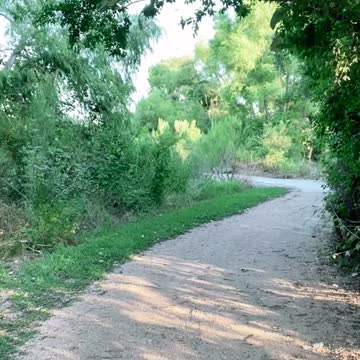 HEY WAIT... let me pray with you 🙏🏼