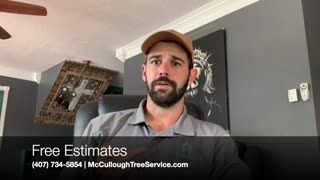 Hurricane Season Is Coming - Get A Free Tree Assessment Now