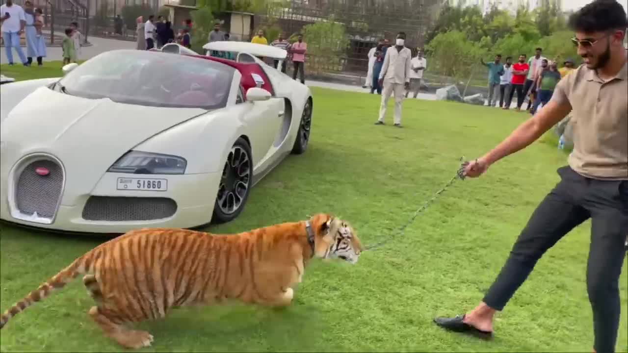 LION ATTACKED DUBAI RICHEST KID !!!-20