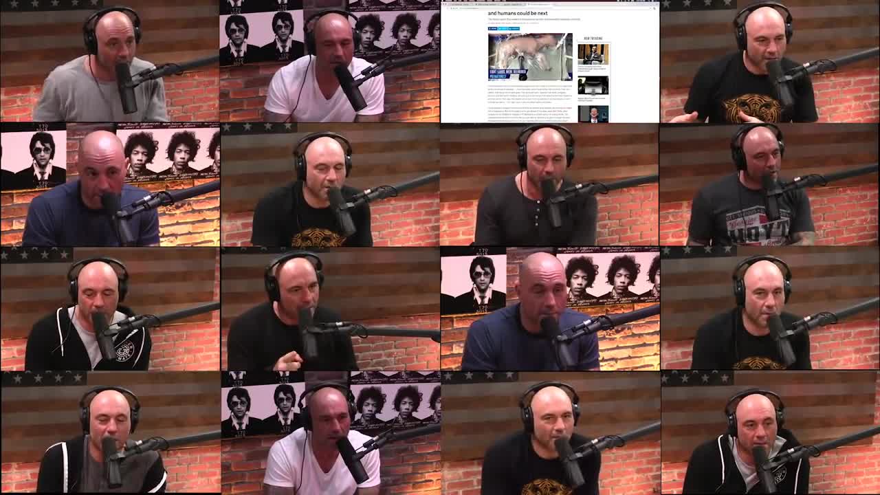 Joe 'it's entirely possible' Rogan