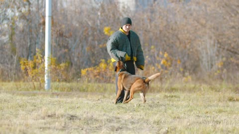 Man training a dog, outdoors