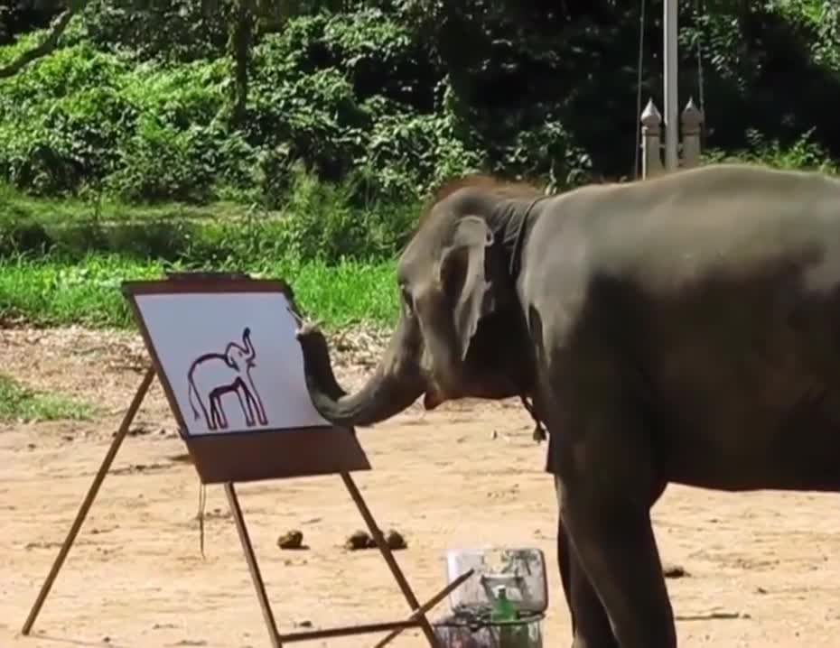 So talented elephant creating a figure of itself😮