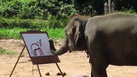 So talented elephant creating a figure of itself😮