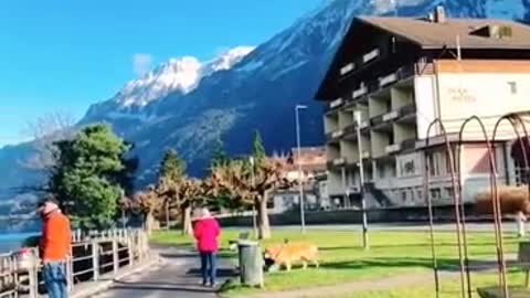 The scenery is very nice and colorful