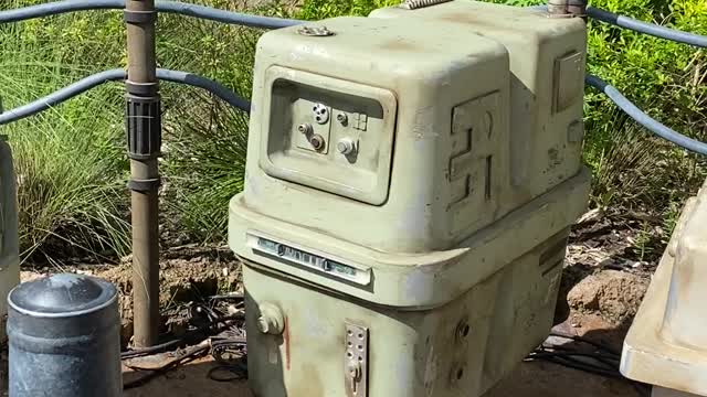 Gonk Droids at Disney World!