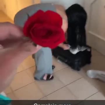 Zherka Is a Hopeless Romantic