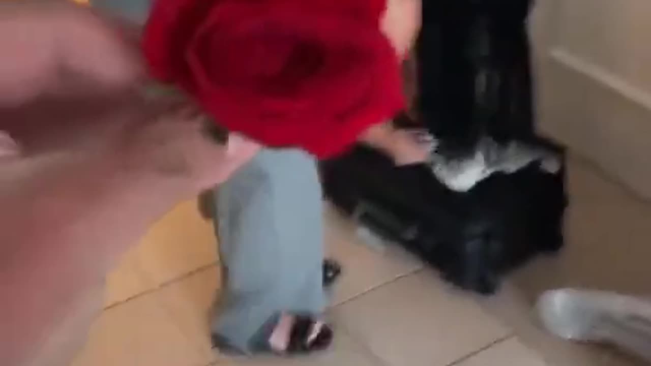 Zherka Is a Hopeless Romantic