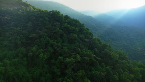 Light Rays Over Green Hillside