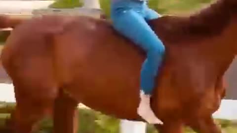 Horse Girl