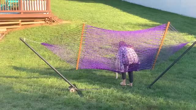 American Bully Dog Sits on Mom's Head in Hammock