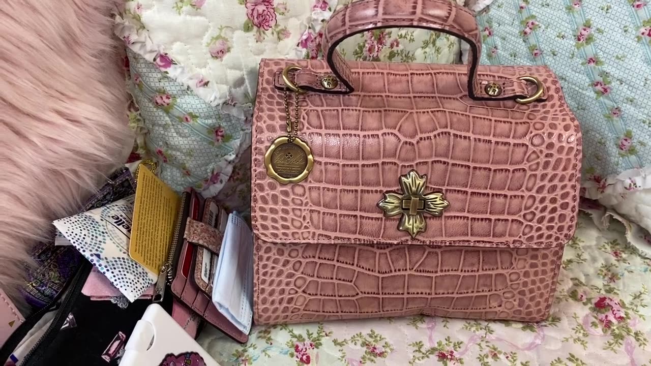 What's in my Patricia Nash Ellora Croc Handbag in Mauve.