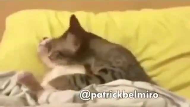 Fazendo de dificil