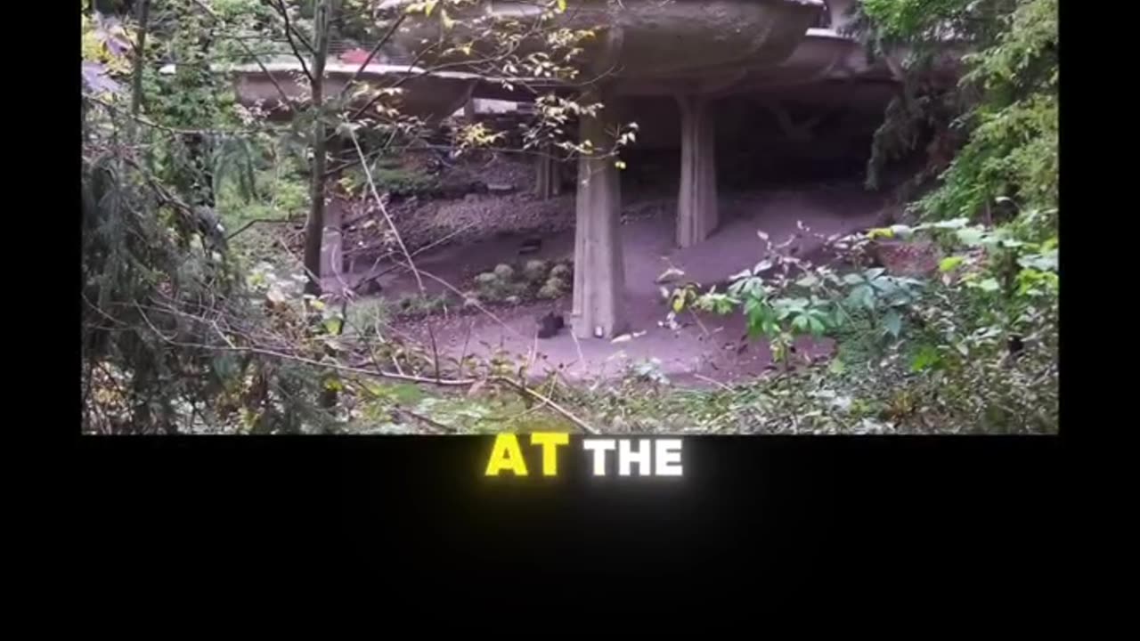 The Mushroom House