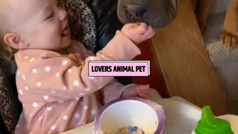 Magic Love Funny Dog🧚Cute Baby