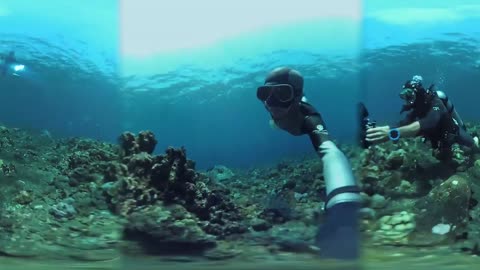 Go Underwater In 360-Degrees With This World Record Holding Freediver