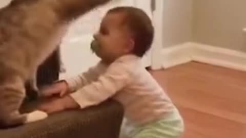 little girl play with cats