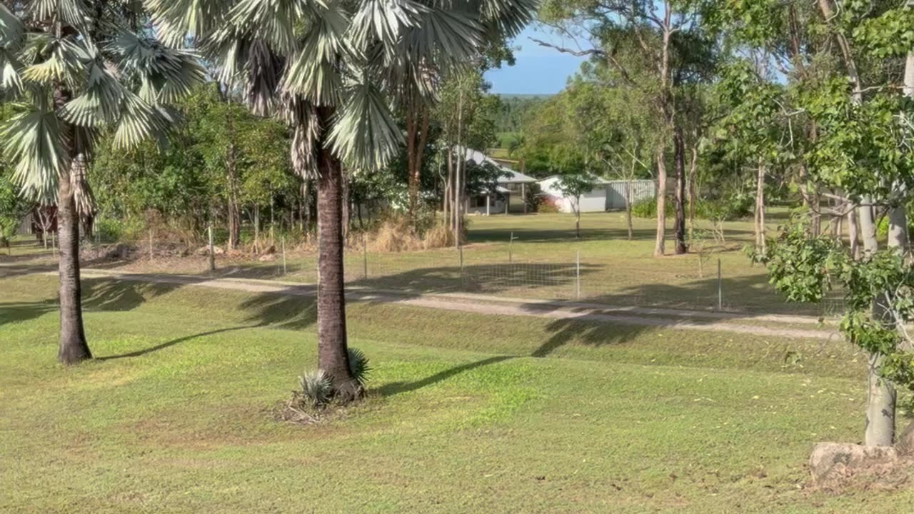 Toddler Gets Wiped Out on Slip-and-Slide