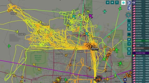 Bird Mafia Mormons Invading Arizona from Utah and CHINA - Mid day capture - Aug 24th