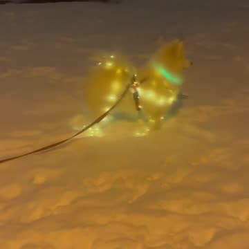 Someone is taking Christmas decorations to extreme levels 😂