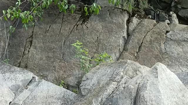 There are rocks and trees growing around the reservoir, and the air here is good