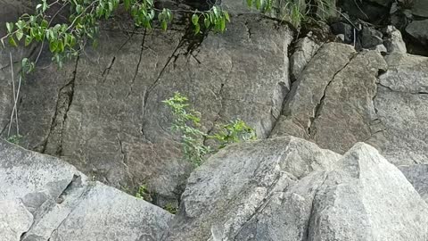 There are rocks and trees growing around the reservoir, and the air here is good