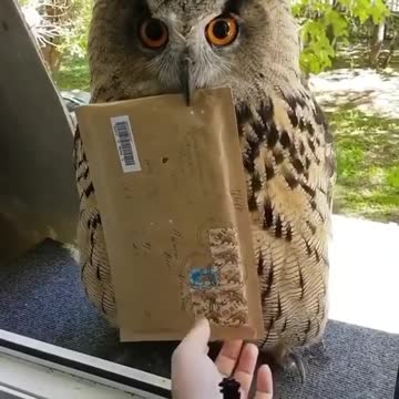 I'm still wanting for my letter from Hogwarts 🏰