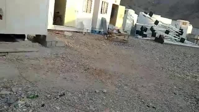 funny puppy and puppy fitting