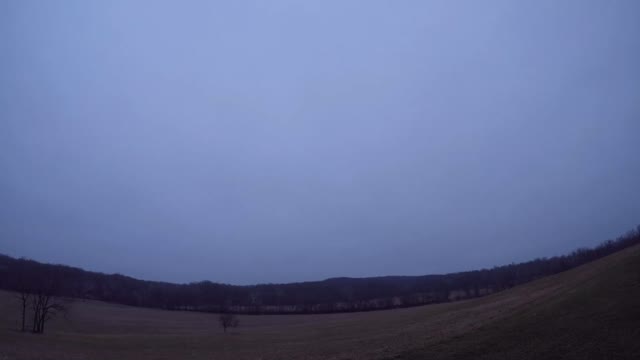 Sun Rise 12 29 21 42f / bird