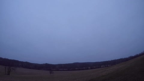 Sun Rise 12 29 21 42f / bird