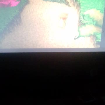 jogando do crash bandicop emuladores PlayStation pt2