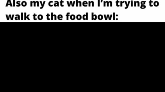 Hilarious memes #shorts