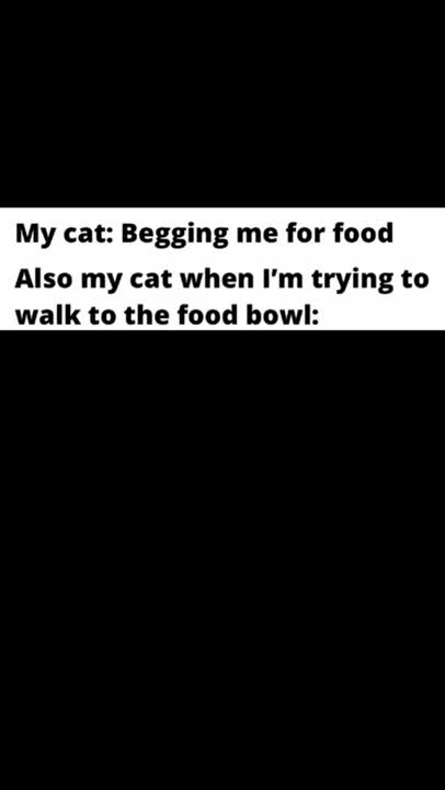 Hilarious memes #shorts