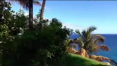 CUP!D$ ep 194 214.mp4