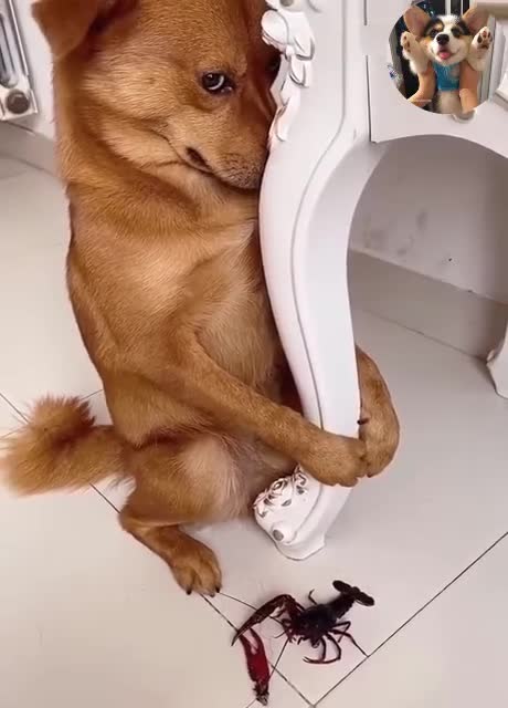 I'm sorry, next time I won't dare to do that again! ☹