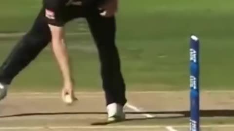 Cricket Funny video