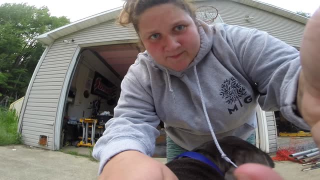 Mingo Cam!