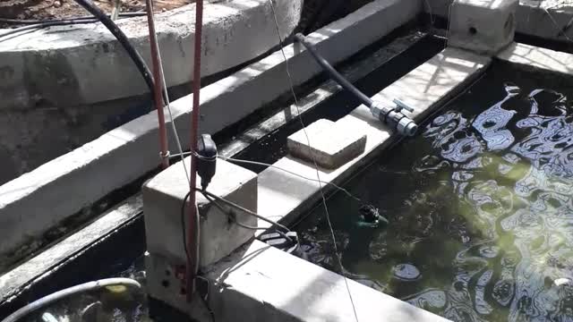 Bdtechnicianuae