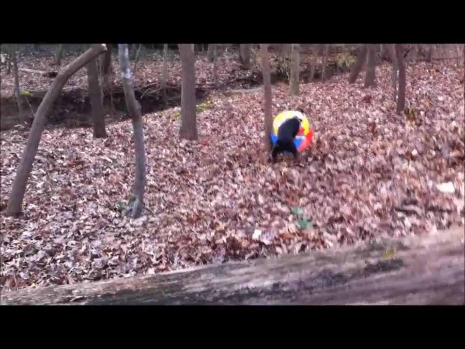 Nigel vs. the wayward beach ball