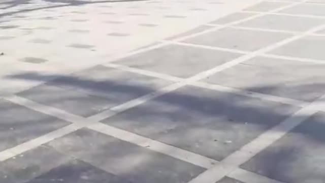 سالونيك اليونان