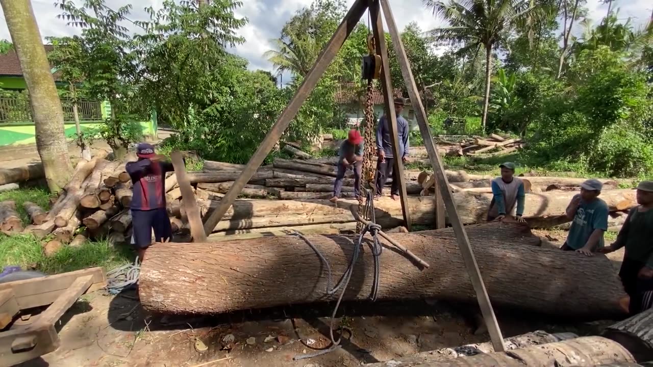What a dramatic sawmill is the huge mahogany and crooked sawmill operator legendary grumbling