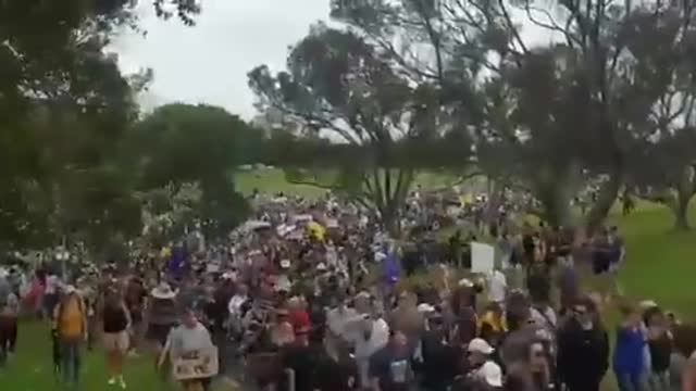 New Zealanders follow neighboring countries in a march for Freedom this weekend