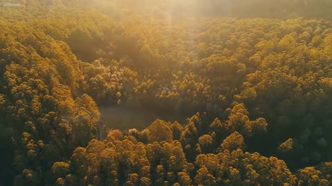 Beautiful Relaxing Music