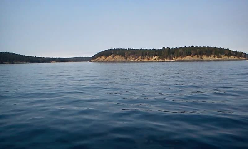 San Juan Island Killer Whales