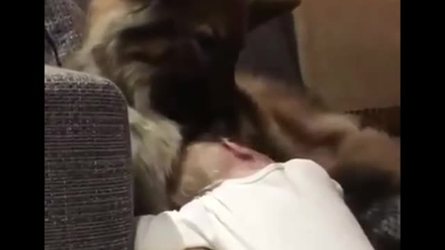 Cute baby animals Videos Compilation cutest moment of the animals - Soo Cute! #9