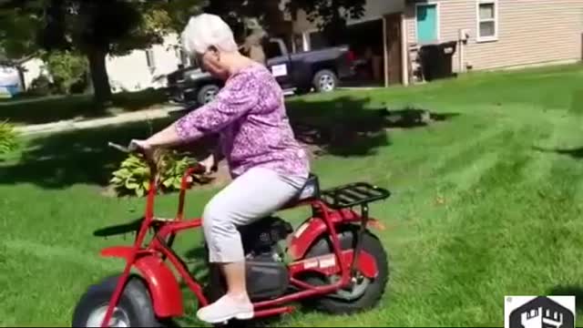 The best funny videos, you will laugh a lot