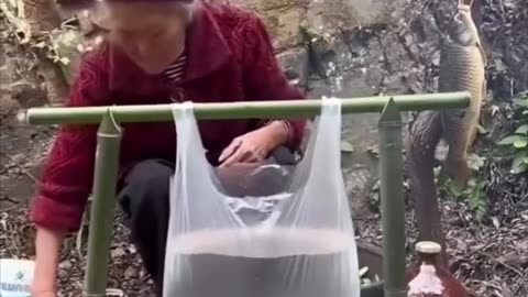 Grandma Cooks in a plastic bag