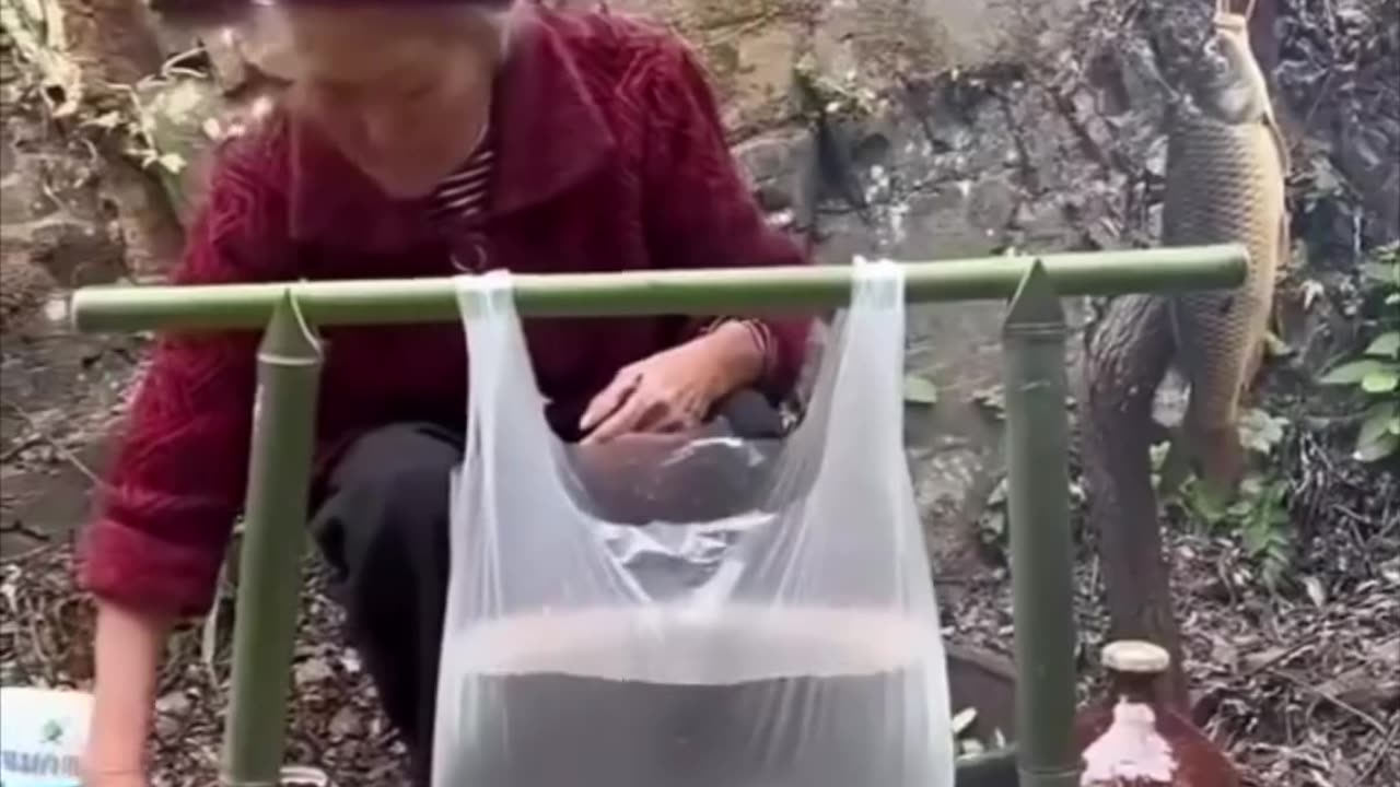 Grandma Cooks in a plastic bag