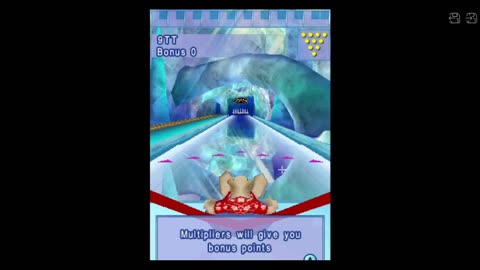 Polar Bowler Review (Nintendo DS) (2009)